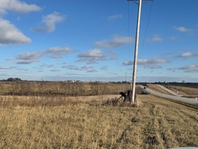 Rare Find!  34 Acres On Us 36 Highway - image 4