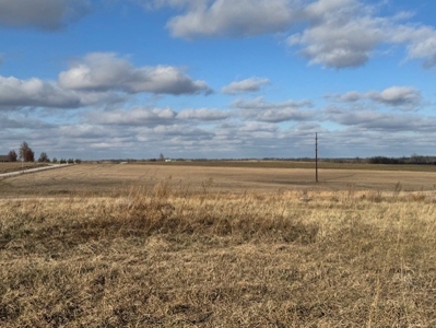 Rare Find!  34 Acres On Us 36 Highway - image 5