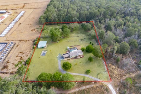 Country Home for Sale on 5 Acres in Branford, Florida - image 6
