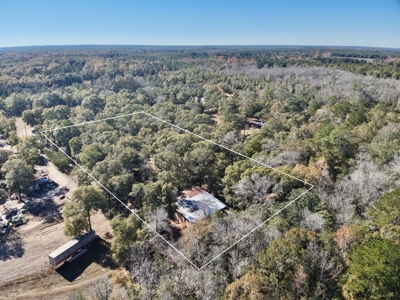 Secluded Country Home on 3ac - Geneva Alabama - image 39