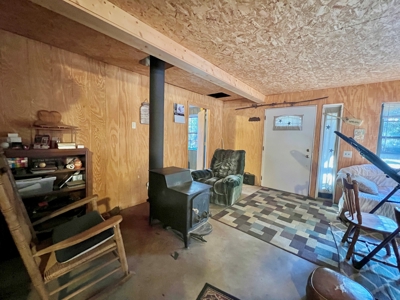Secluded Country Home on 3ac - Geneva Alabama - image 37