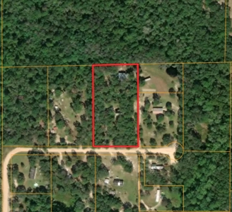 Secluded Country Home on 3ac - Geneva Alabama - image 42