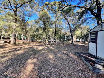 Secluded Country Home on 3ac - Geneva Alabama - image 21