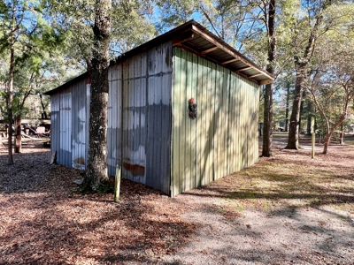 Secluded Country Home on 3ac - Geneva Alabama - image 19