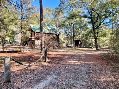 Secluded Country Home on 3ac - Geneva Alabama - image 25