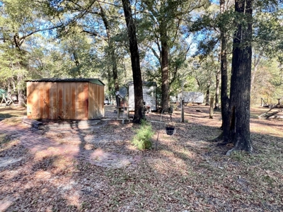 Secluded Country Home on 3ac - Geneva Alabama - image 41