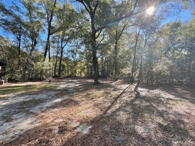 Secluded Country Home on 3ac - Geneva Alabama - image 29