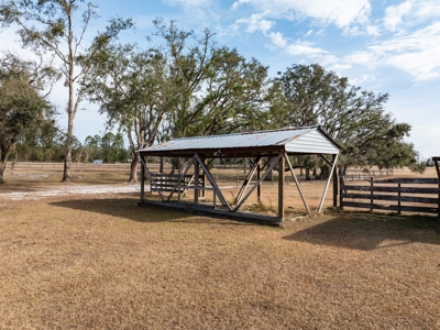 Bring your horses! - image 7