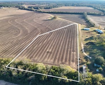 Land for sale Headland, Alabama - image 9