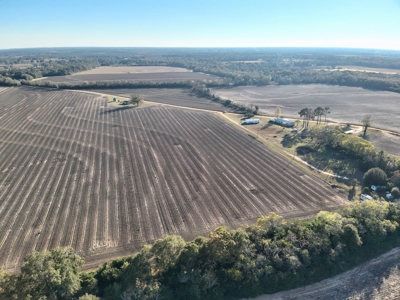 Land for sale Headland, Alabama - image 6