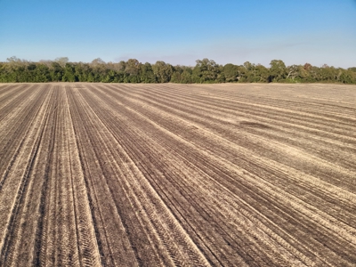 Land for sale Headland, Alabama - image 8