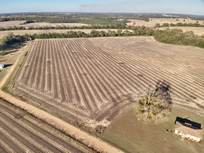 Land for sale Headland, Alabama - image 5