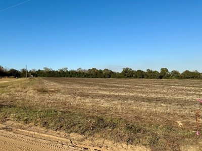 Land for sale Headland, Alabama - image 4