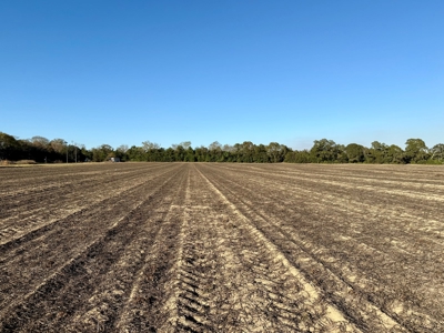 Land for sale Headland, Alabama - image 3
