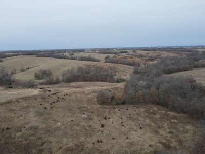 Northern Missouri Powerhouse! 160 acres Adair County - image 43