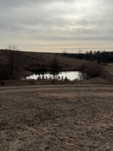 Northern Missouri Powerhouse! 160 acres Adair County - image 4