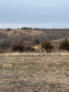 Northern Missouri Powerhouse! 160 acres Adair County - image 8