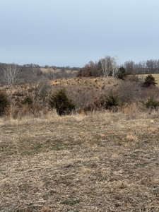 Northern Missouri Powerhouse! 160 acres Adair County - image 7