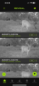 Northern Missouri Powerhouse! 160 acres Adair County - image 49