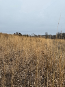 Northern Missouri Powerhouse! 160 acres Adair County - image 1