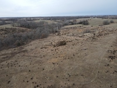 Northern Missouri Powerhouse! 160 acres Adair County - image 32