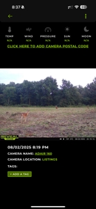 Northern Missouri Powerhouse! 160 acres Adair County - image 45