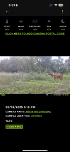 Northern Missouri Powerhouse! 160 acres Adair County - image 50
