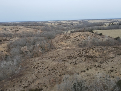 Northern Missouri Powerhouse! 160 acres Adair County - image 40