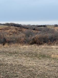 Northern Missouri Powerhouse! 160 acres Adair County - image 9