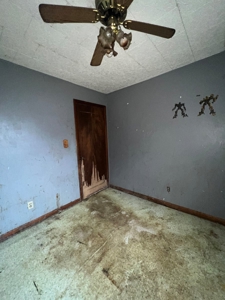 Fixer-Upper with BIG Potential in Robinson, IL - image 7