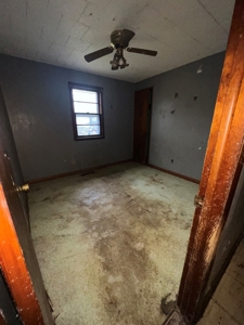 Fixer-Upper with BIG Potential in Robinson, IL - image 9