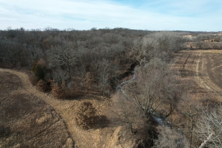 Southern Iowa Combination Hunting Tract - image 19