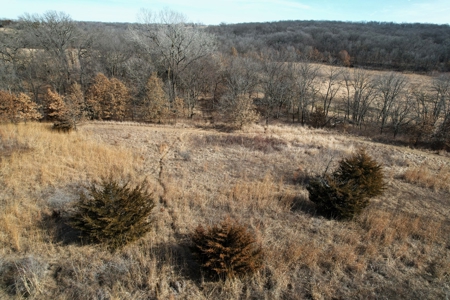 Southern Iowa Combination Hunting Tract - image 32