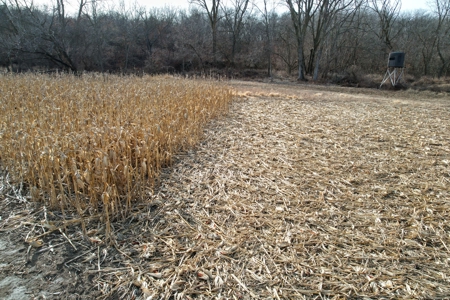 Southern Iowa Combination Hunting Tract - image 23
