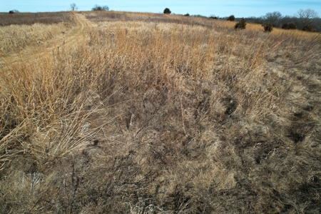 Southern Iowa Combination Hunting Tract - image 31