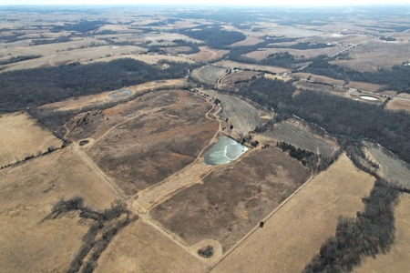 Southern Iowa Combination Hunting Tract - image 4