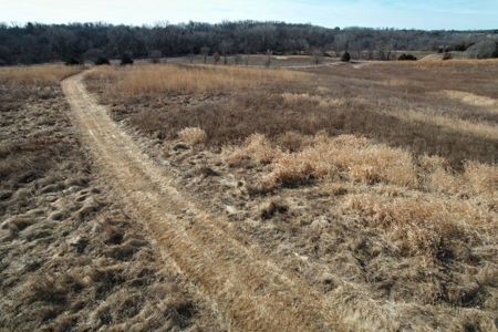 Southern Iowa Combination Hunting Tract - image 30