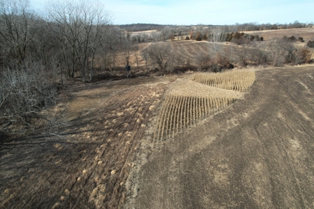 Southern Iowa Combination Hunting Tract - image 22
