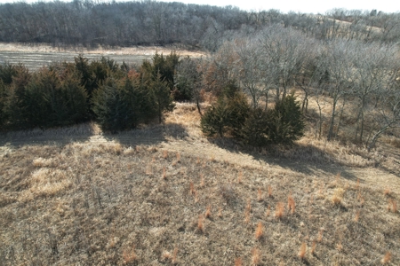 Southern Iowa Combination Hunting Tract - image 27