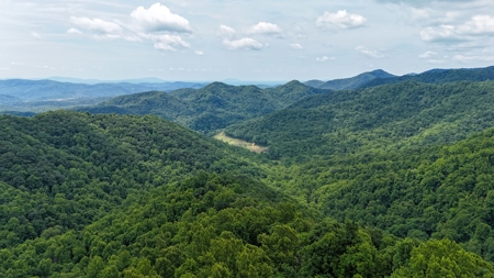 187.43 Acres Of Land Located In Patrick County, Va - image 5