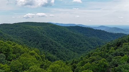 187.43 Acres Of Land Located In Patrick County, Va - image 4