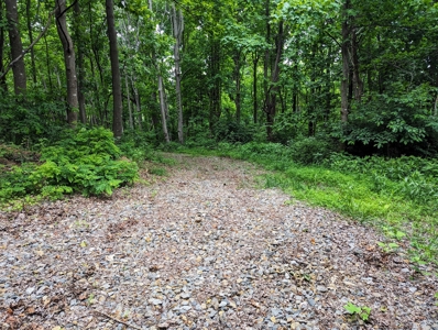 187.43 Acres Of Land Located In Patrick County, Va - image 9