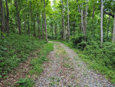 187.43 Acres Of Land Located In Patrick County, Va - image 10
