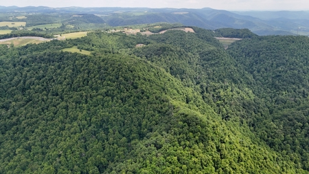 187.43 Acres Of Land Located In Patrick County, Va - image 3