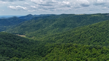 187.43 Acres Of Land Located In Patrick County, Va - image 2