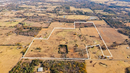 113 Acres East Texas East Of Dallas - Wood County Winnsboro - image 11