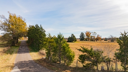 113 Acres East Texas East Of Dallas - Wood County Winnsboro - image 17