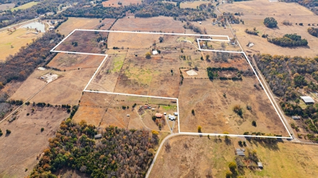 113 Acres East Texas East Of Dallas - Wood County Winnsboro - image 14