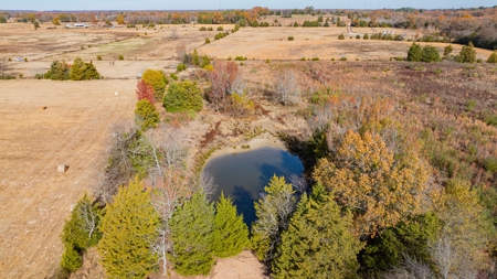 113 Acres East Texas East Of Dallas - Wood County Winnsboro - image 3
