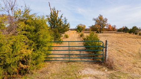 113 Acres East Texas East Of Dallas - Wood County Winnsboro - image 36
